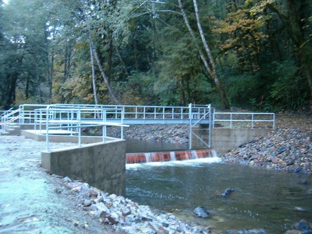 Today, the structure insures safe passage for fish, enabling them to access miles of quality habitat, while maintaining the creek as a key drinking