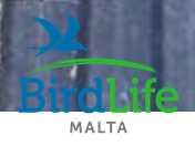 Malta s song thrush and golden plover derogation needs to be revisited over its justification.