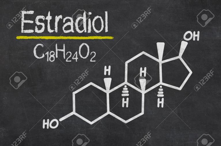 + Testosterone Testosterone is converted into Estradiol in fat cells