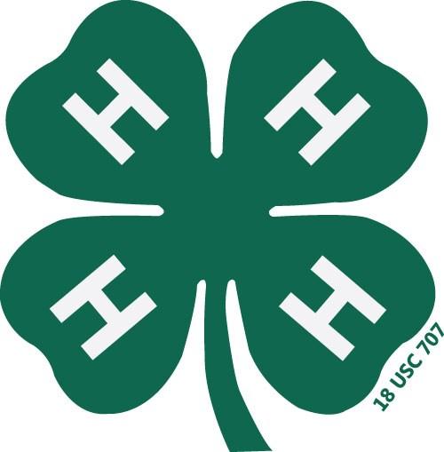 COUNTY 4-H