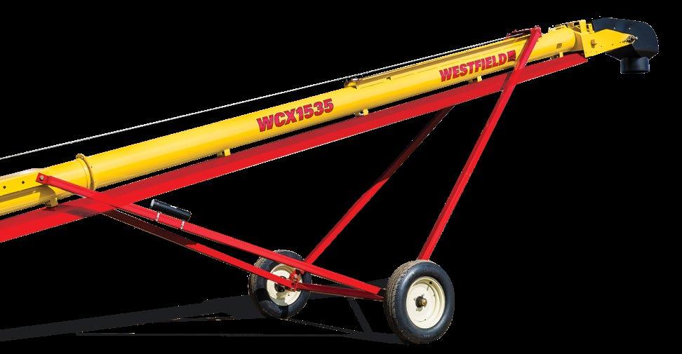 A Westfield Belt Conveyor minimizes impact damage and helps protect grade quality and germination performance of seed.