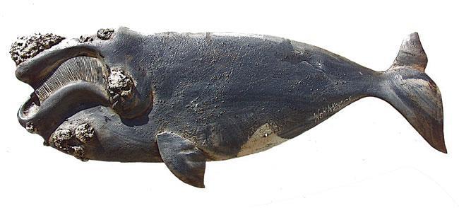 Paddlefish