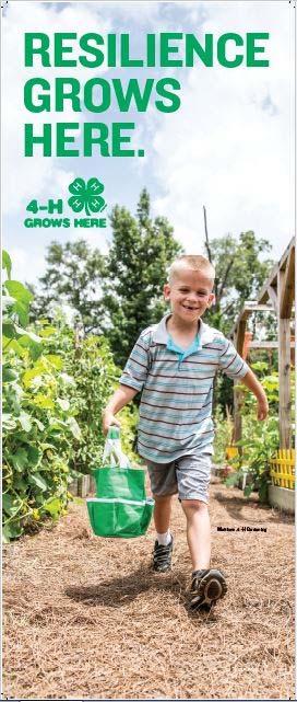 Your family should have received the 2017 Perry County 4-H Family Handbook which includes rules/policies, livestock requirements, and important 2017 4-H dates.