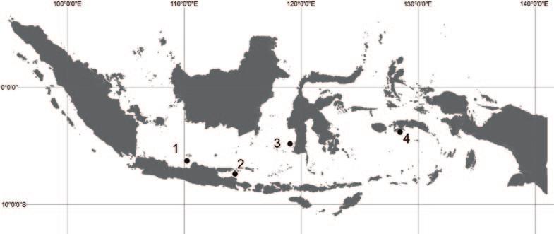 20 Figure 1. Locations where trepang specimens were collected from. Study sites: (1) Karimunjawa; (2) Situbondo; (3) Spermonde; (4) Ambon.