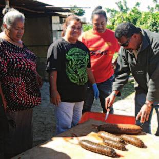 A four-year project funded by the Australian Centre for International Agricultural Research (ACIAR) began in 2013 with the overall goal: to improve the income of village fishers in Kiribati, Tonga