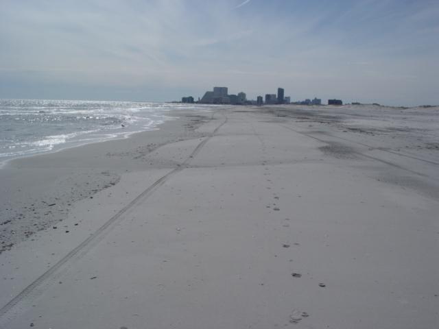 SOUTH, BRIGANTINE SITE 131 Figure 206. The view from the beach illustrates the tremendous width to this beach.