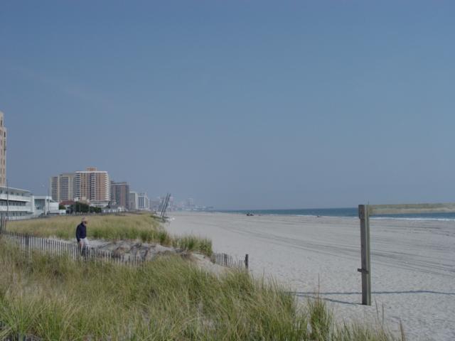 Figure 220. Dune growth by October 17, 2007 is very evident, with a slightly narrower beach as some sand moved south.