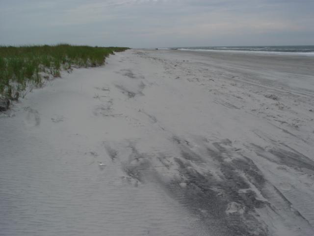 Long Beach Island. The last major change was directly the result of the December 1992 northeast storm where the sea washed through the dunes and back into Widgen Bay behind the beach.