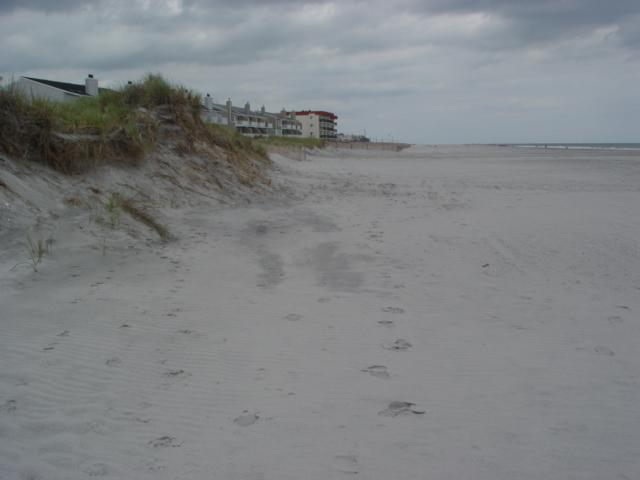 Figure 195. This site is at the northern end of development in Brigantine, but at the southern end of the original 1997 beach nourishment project.