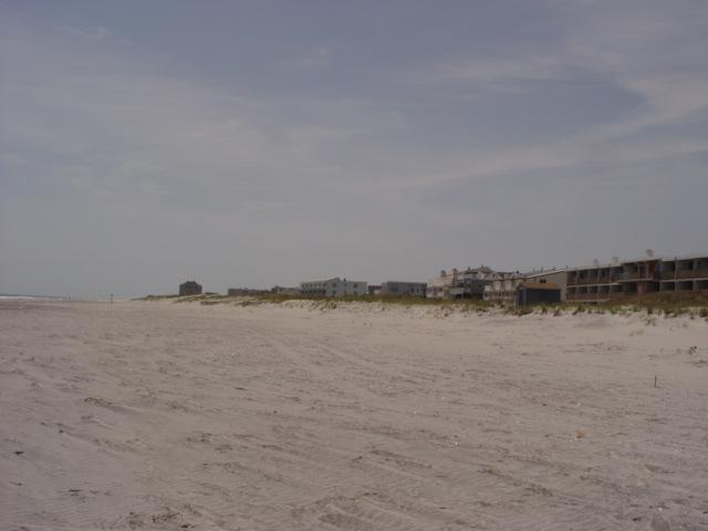 Figure 197. By May 23, 2007 the vegetation was essentially unchanged and the beach was in similar condition to that present in the spring of 2006.