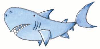 SHARK Draw a shape similar to a drop of water.