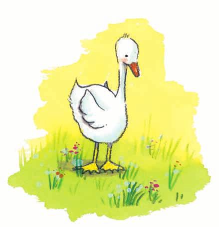 GOOSE We are going to draw the goose from two points of