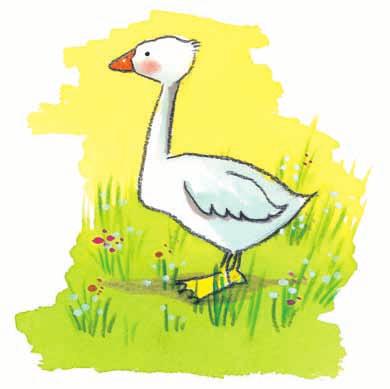 70 In this other version, we draw the goose more from the