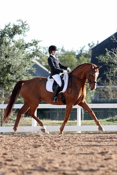 Anna Campbell and Wandango Photo (c) Susan Stickle Amateur rider Elizabeth "Bit" Fingerhut topped her division earning the GAIG/USDF First Level Adult Amateur Championship on Vanessa Mae with a score