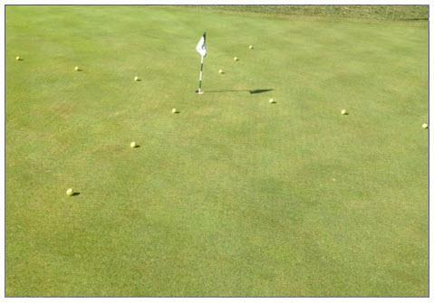 The Golfers Corner T H E C L O C K P U T T I N G D R I L L S This month s lesson is on Putting: Here is a simple drill to help improve your distance control and speed while improving your ability to