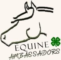 Livestock Project News Texas 4-H Equine Ambassadors The Texas 4-H Equine Ambassador program strives to provide high school aged 4-H members the opportunity to develop and practice advanced leadership