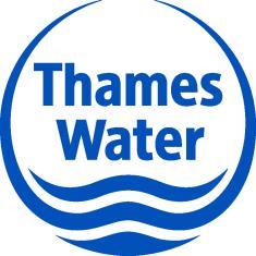 Free Surface Flow Simulation with ACUSIM in the Water Industry Tuan Ta Research Scientist, Innovation, Thames Water Kempton Water Treatment Works, Innovation, Feltham Hill Road, Hanworth, TW13 6XH,