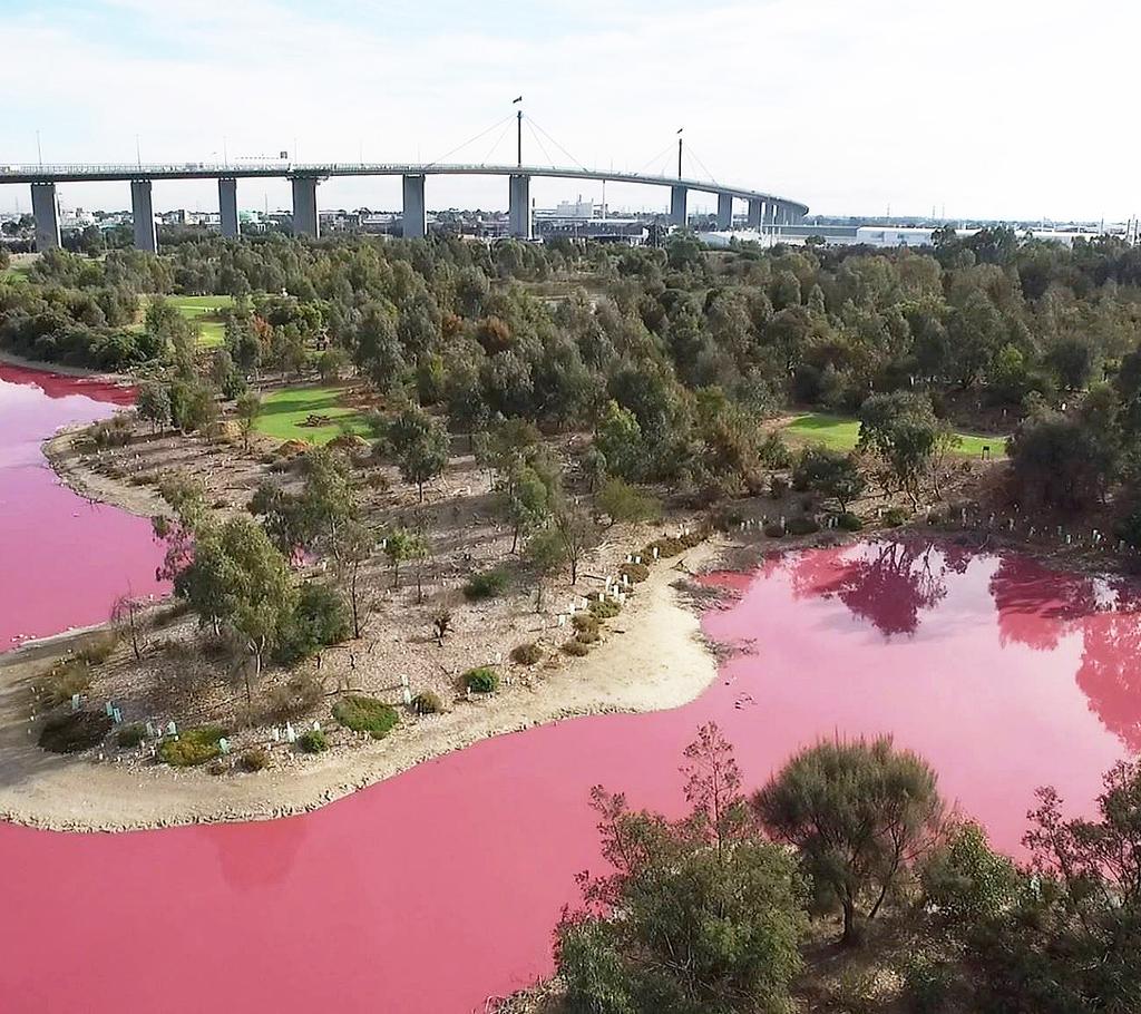 CRAZY BUT TRUE Wacky water around the world Facebook/Erin Lacey It s not every day you wake up to find bright pink water running from your taps!