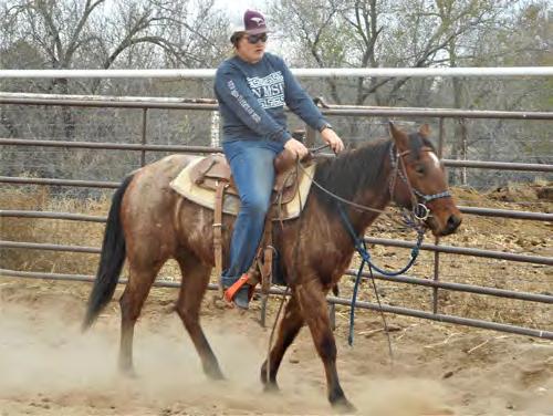 If you are looking for a nice bred, good looking, gentle filly, don t miss out on her. AQHA Ranching Heritage enrolled.