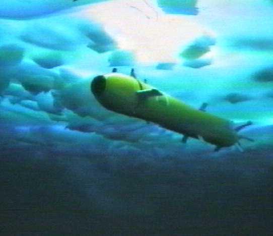 AUTONOMOUS UNDERWATER VEHICLE (AUV) An unmanned torpedo vehicle (robotic) that has capability to explore the subsea