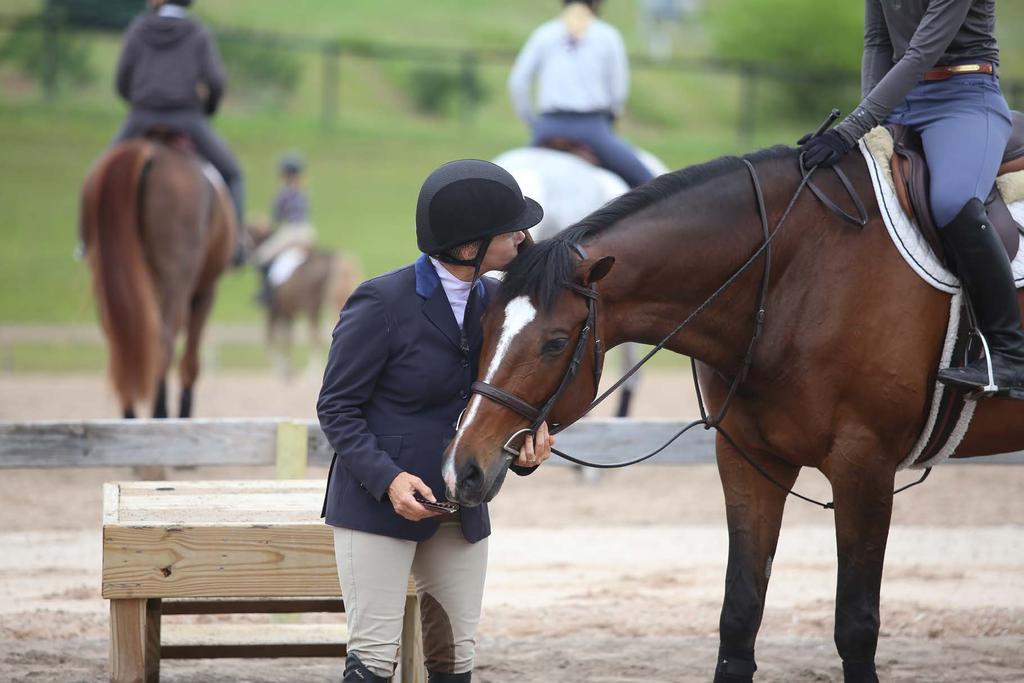 THE EQUESTRIAN LIFESTYLE Equestrian enthusiasts are highly active, mobile and have high disposable income levels, according to demographic research from the United States Equestrian Federation, the