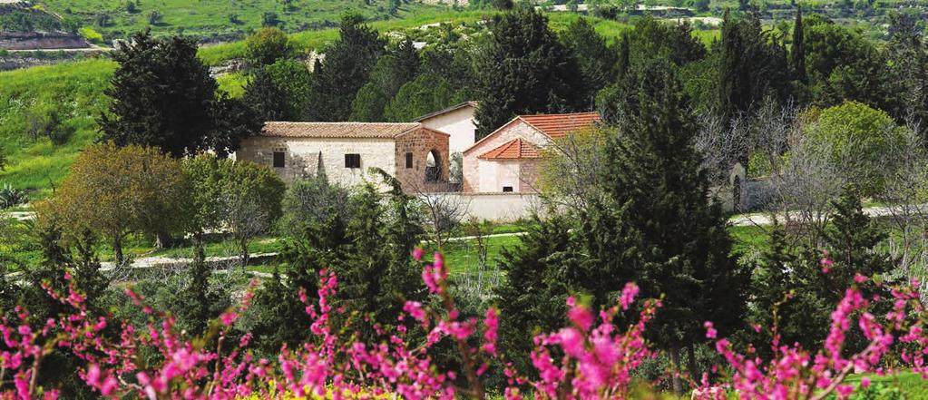 A RICH HERITAGE The resort is situated in the heart of Pafos wine producing region, just ten minutes outside the town surrounded by quaint traditional villages, providing an authentic experience of