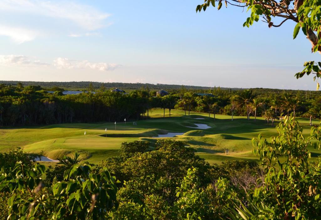 Practice, Parrots, and Paradise Why is the Abaco Club Golf regularly recognized as one of the best courses in the Caribbean? For starters, the course is home to a massive world-class practice area.
