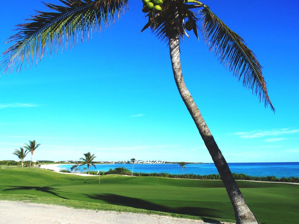 18 Holes- Two Personalities Ultimately, the Abaco Golf Course s reputation is earned from the quality of golf experience. In two words, Abaco Golf Course delivers personality plus.