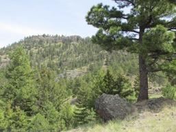 There s an amazing ridge line on this Montana property with multiple locations to build your Montana cabin. It sits right up in the middle of the property where you can see for miles and miles.
