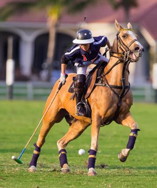 Dubai at Valiente Polo - Wednesday April 6, The Polo Training Foundation & The Grand Champions Polo Club hosted the 2016 International Day, played at GCPC.