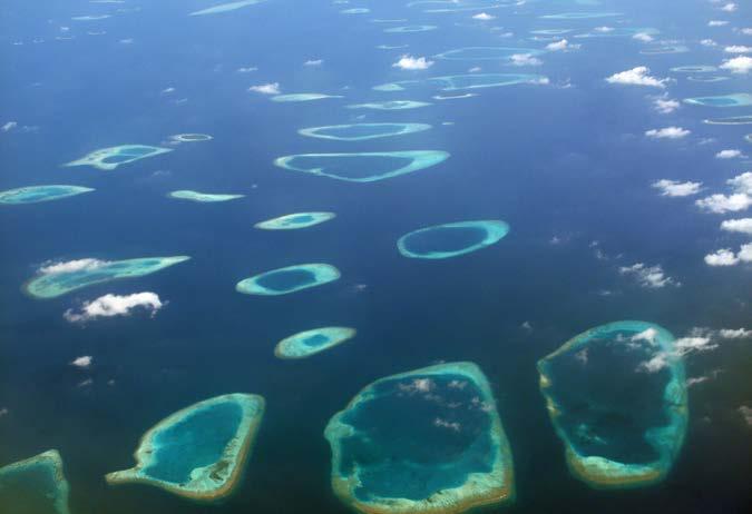 It is 2,300 kilometers (1,429 mi.) long and is made up of over three thousand reefs and islands. The Great Barrier Reef is home to nearly two thousand species of fish.