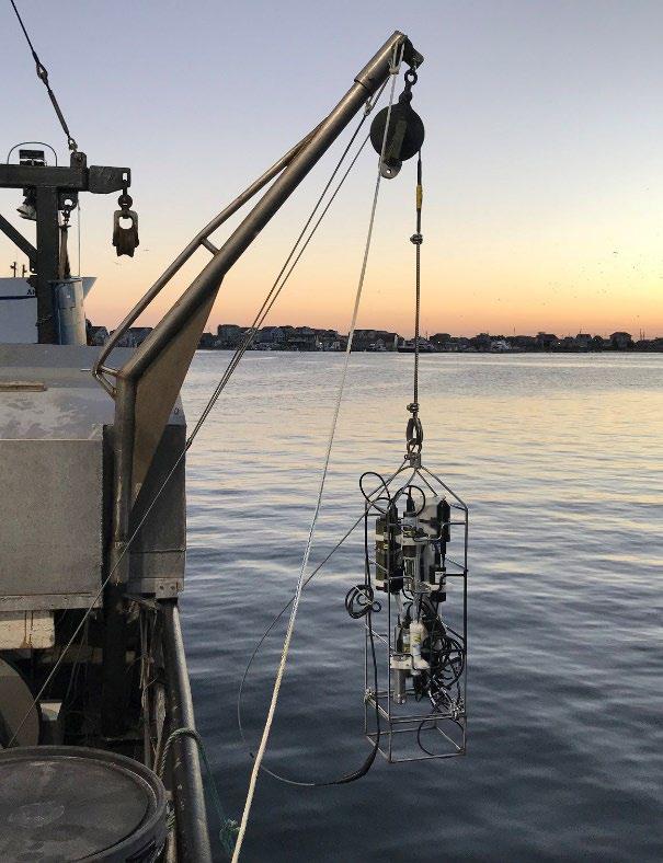 SNE/MA Survey Coastal trawl survey from Cape Hatteras, NC to Cape Cod, MA, began in 2006 142 Species encountered in 2017, with spot, scup,