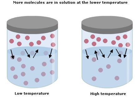 Effect of temperature on solubility Generally, an increase in the temperature of the solution increases the solubility of a solid solute.