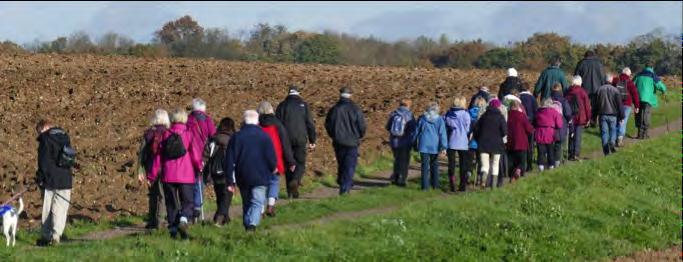 Both walks are between 3 and 6 miles. If you would like to find out more information, please visit the Saffron Walden U3A website: www.saffronwaldenu3a.org.