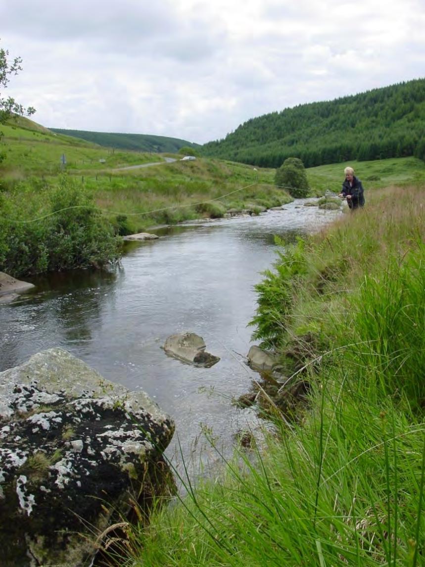 Fisheries and Angling Fisheries - the management, Improvement and conservation of rivers lakes and fish