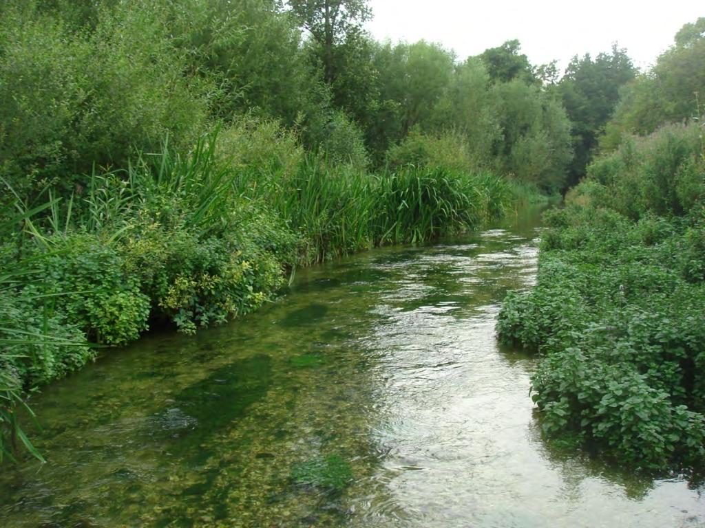 Angling & Fisheries Investment in the Aquatic Environment 2005 Survey on Rivers Test & Itchen showed that anglers spent 3.