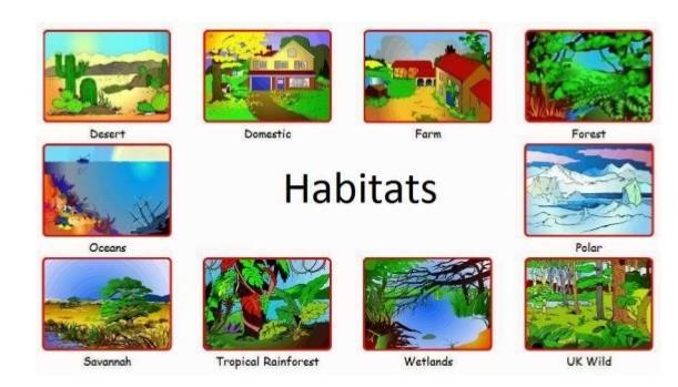 HABITAT THE BASIC REQUIREMENTS OF FOOD, COVER, WATER,