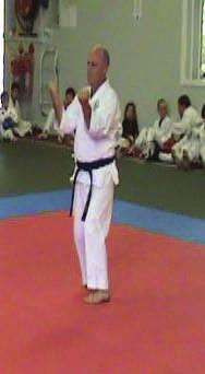2 - The first Saturday of every month (barring rule 1) is an advanced class for 4kyu (purple belt) and above only.