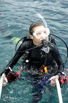 Discover Scuba Diving What s New?
