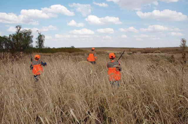2013 Minnesota Hunting Regulations GIVE INVASIVE SPECIES THE BRUSH OFF. Help Prevent The Spread Of Invasive Plants and Animals.