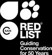 To give your students a clearer understanding of how the Red List works and what ZSL is doing to conserve species, both here at ZSL London Zoo and elsewhere, we have designed a special trail to take