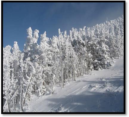 Sugarloaf Maine Date: January 8 13, 2012 Adult Price Includes: * Slope-side condo (min. occupancy) Cost: $347.00/Adult * 5 ½ day lift ticket $197.