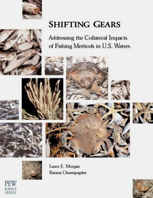 L Morgan & R Chuenpagdee (2003) Shifting Gears: