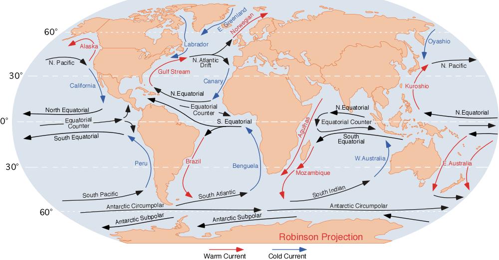 OCEANIC CURRENTS Tidal currents and