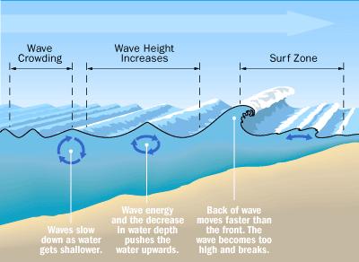 WAVES IN MOTION SHOALING AND BREAKING Increase or decrease in wave height due to the change in depths as the wave approaches shallow water As the waves bunch closer together in shallow water, they