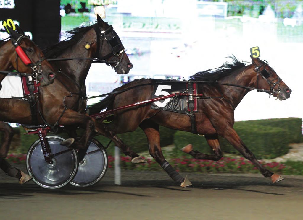 Photo by New Image Media on his feet with a position in the Ted Jacobs stable where he remained for three years at Mohawk Racetrack.