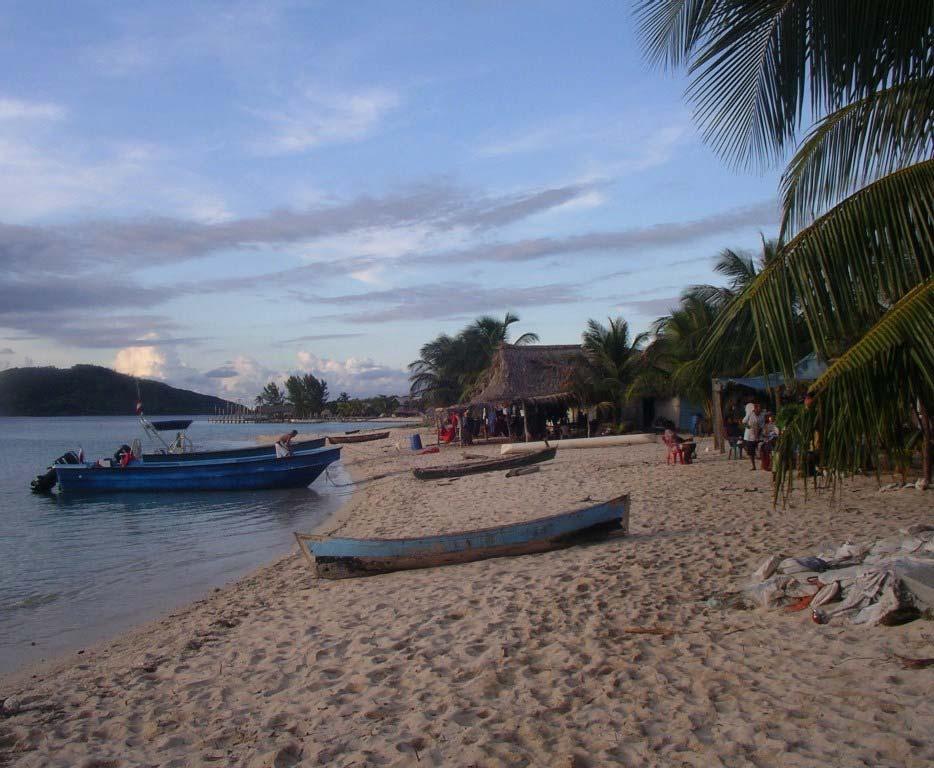 income sources were established for these communities, and those on the North Honduran Coast, to compensate for the loss of revenue from fishing activity.