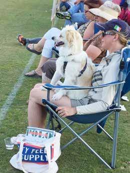 Rating Totals This year and a half pooch named Cordi was attending his first polo game yesterday in the final of the
