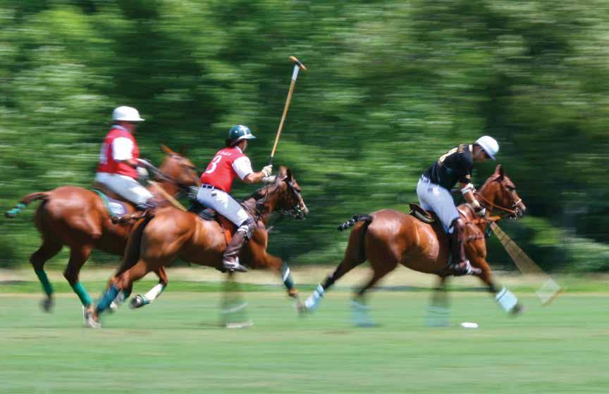 Page 4 The 20 Goal Molina Cup 2017 Grand Champions Polo Club 6 teams 20 Goal - Bracket play and
