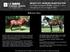 Reference Sires. SELECT 2015 YEARLING SILENT AUCTION The Center for Equine Health is pleased to offer a select group of 2015 yearlings for sale.